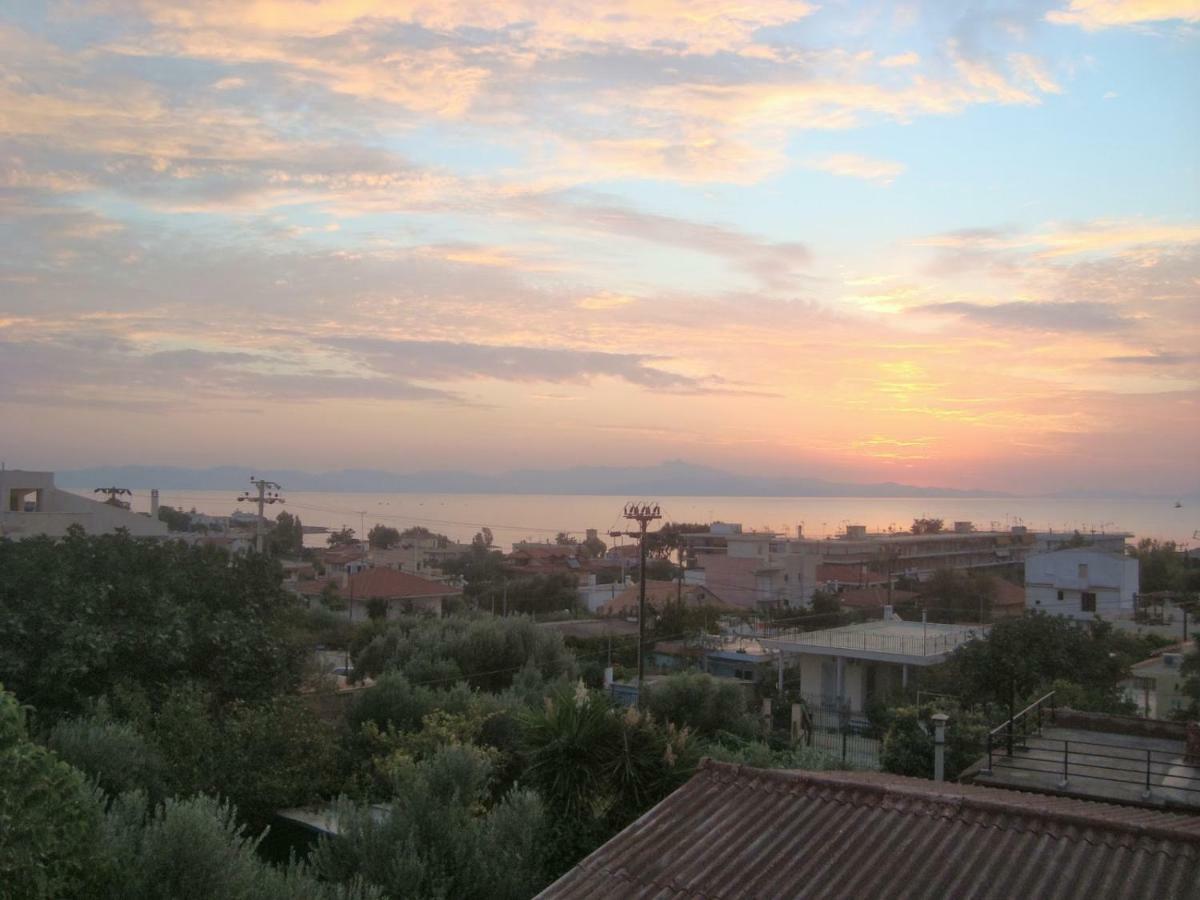 Smile House Near Athens Airport 300M From The Sea Artemida (Attica) Exterior photo